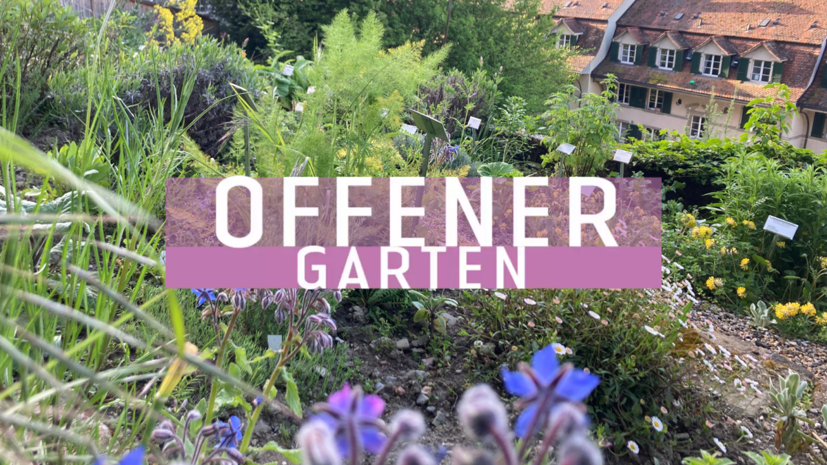 Offener Garten